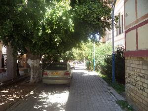 2018 05 VOYAGE A ORAN EN MAI 2018 (324)